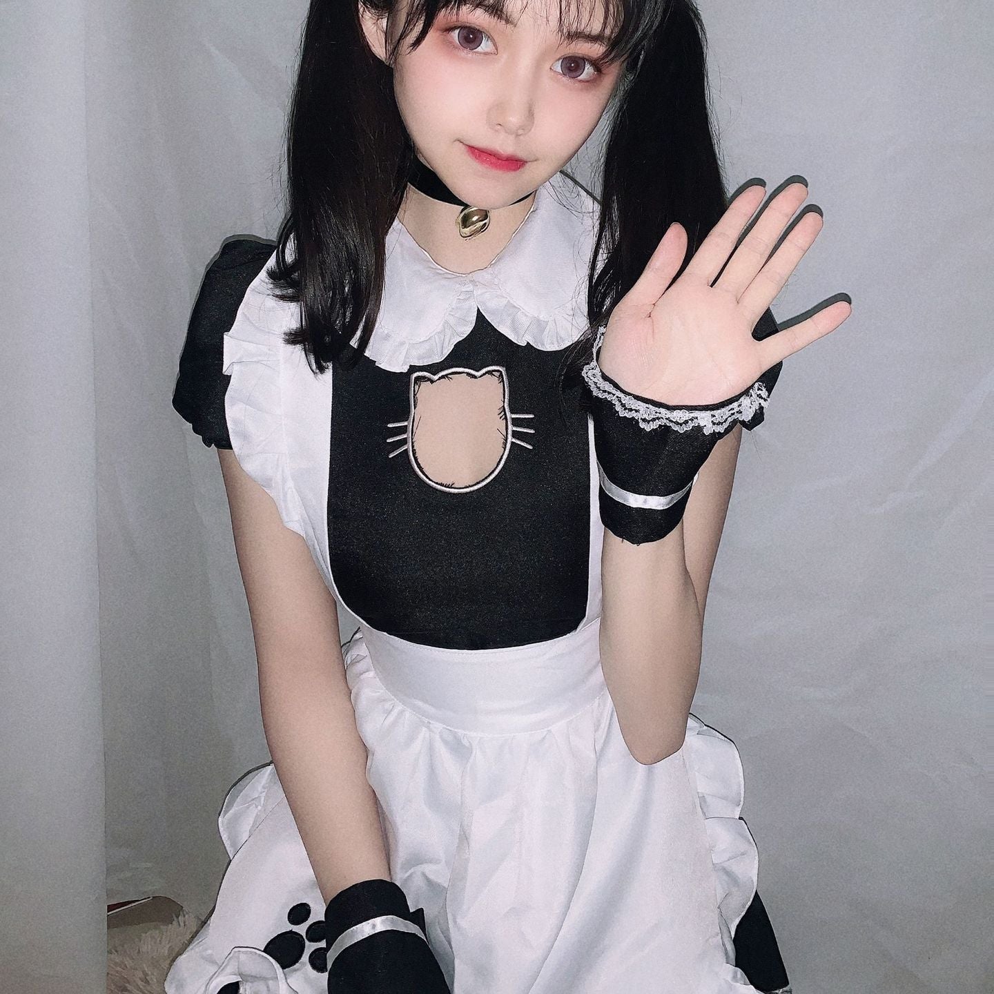 Cat maid lolitacostume KS101